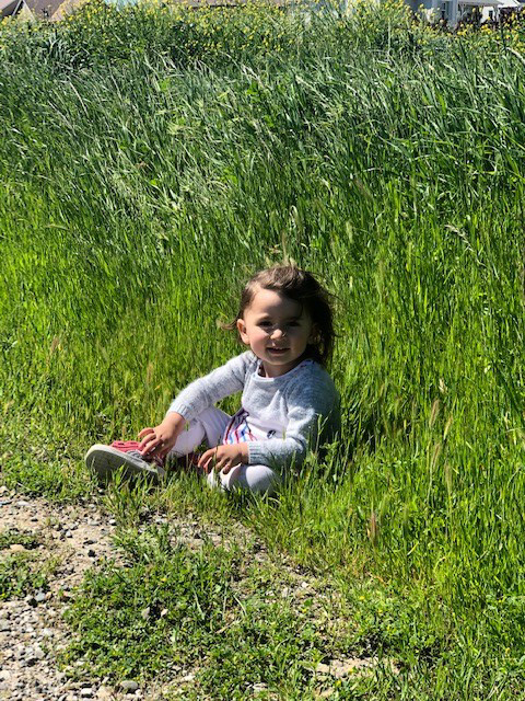 Sophie_in_the_grass.jpg